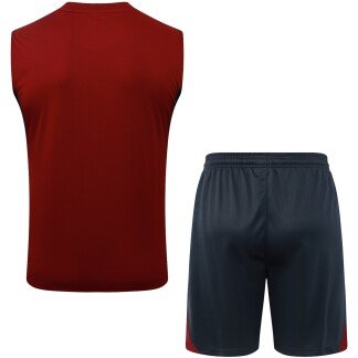Arsenal 25/26 Sleeveless Training Kit